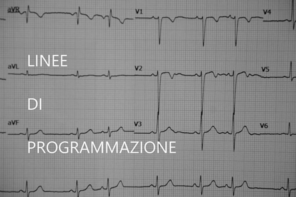 LINEE DI PROGRAMMAZIONE
