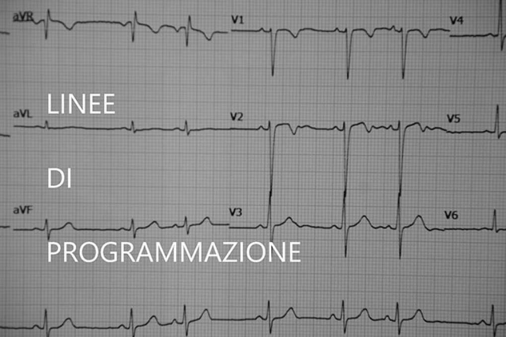 LINEE DI PROGRAMMAZIONE